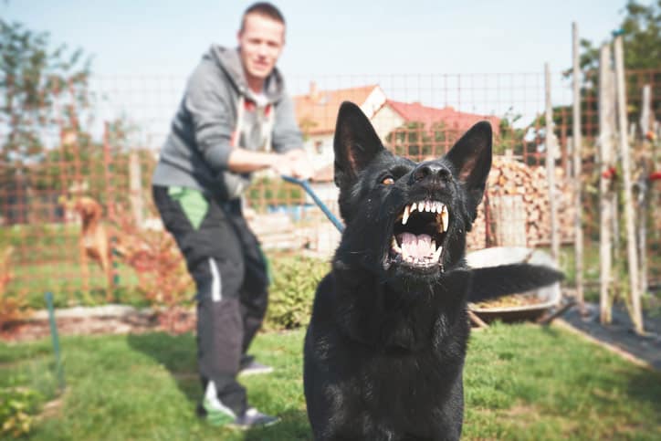 A man tries to pull his dog back who's growling and about to bite someone.