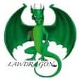 A green dragon with the words "law dragon."